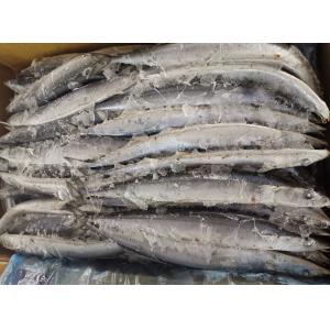 1# BQF Seafrozen Pacific Saury Fish With Bulk Packaging