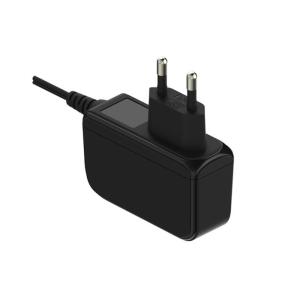 2 Pin AC DC Power Adapter , Universal Power Adapter With Output 24V 1A / 12V 2A