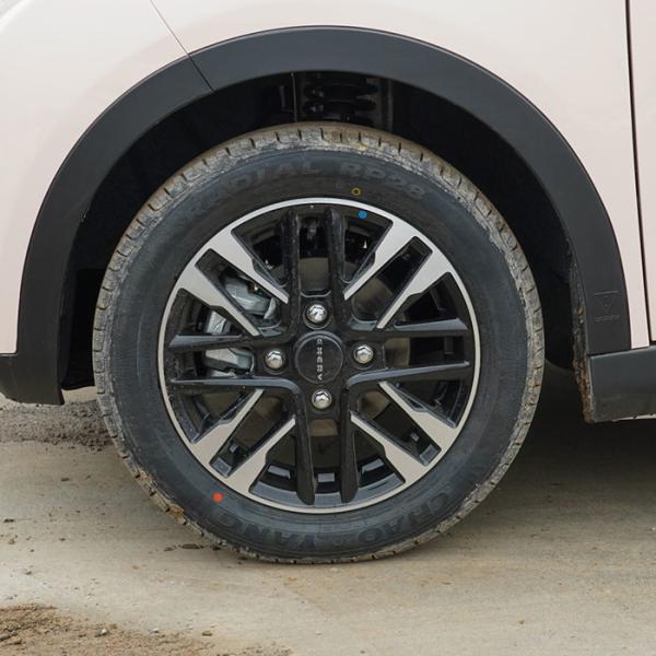 Chery Pure Electric 2023 251KM Reai Revised Max Speed 100KM/H Fast Charge Mini Car