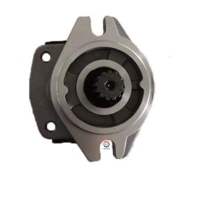 Forklift Car Gear Pump CBJ-F30-AFH1L