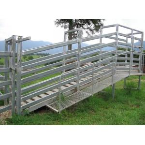 Hot Dipped Galvanised 40x80mm Corral Panel Fence For Horse