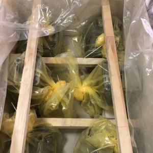 A10VSO45DFR/31R-PPA12K01 A10VSO45DFR/31R-PPA12K26 German Rexroth Hydraulic Pump Original Axial Piston Pump