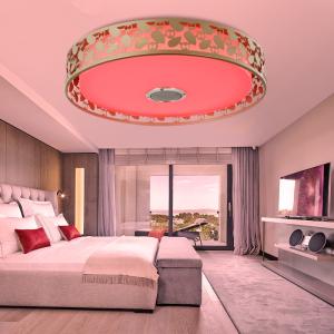 Fancy kitchen Bluetooth Music ceiling lights with APP Remote controller (WH-MA