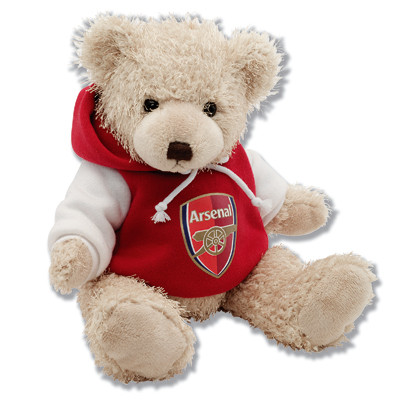 Buy Teddy Bear With T shirt Soft Toy Plush Toy at wholesale prices