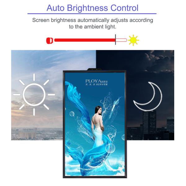 43 Inch High Brightness LCD Display For Storefront Window / Banking / Airport