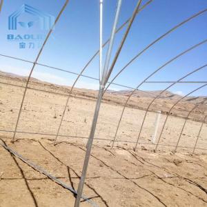Commercial Plastic Film Galvanized Transparent Tunnel Plastic Greenhouse