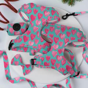 Neoprene Breathable Dog Walking Kit Flora Puppy Leashes Harnesses