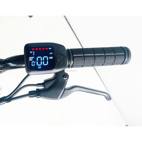 20" Single Speed Electric BMX Bike with Hidden Battery and 24V 250W Motor 20KM/H PAS