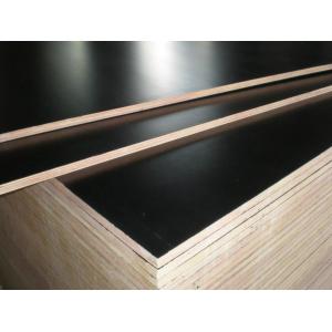 hot sale low price good quality 9mm 11mm 12mm 15mm 18mm film faced plywood in Africa