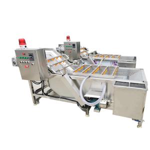 3.75KW Air Bubble 500KG/H Vegetable Washing Machine