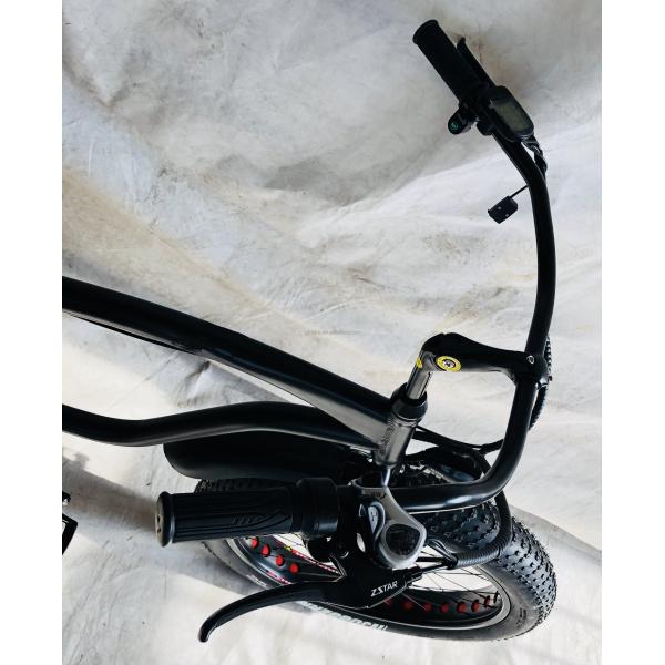 26" 1000W Bafang Rear Motor Fat Tire Electric Cargo Beach Cruiser Bike with 48V 21AH Lithium Battery