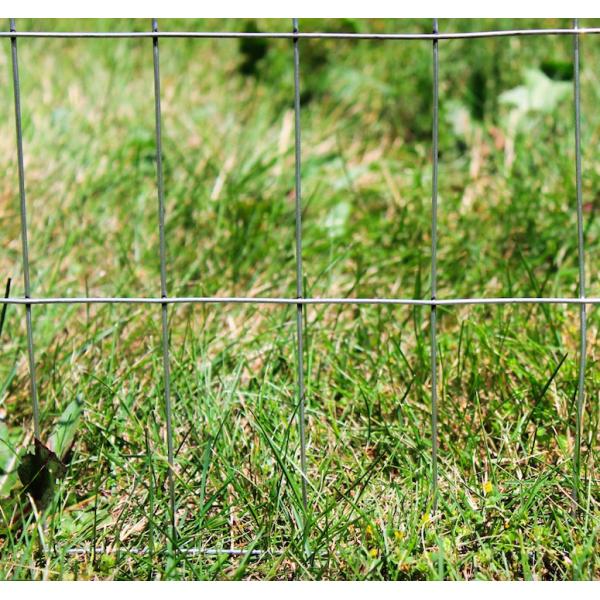 Galvanized 2x4 inch Welded Metal Wire Mesh 14 Gauge 60 in X 100 ft