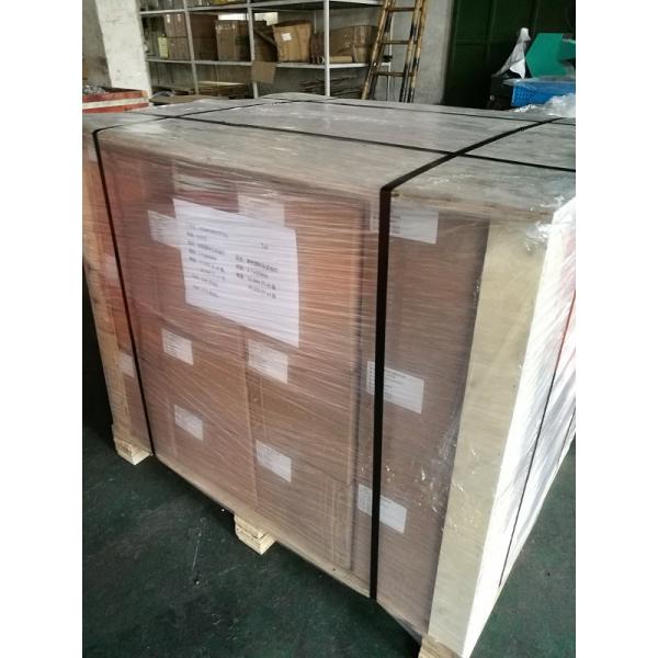 Nylon PA6 Annular Ring Plastic Headed Pins Stainless Steel 304L