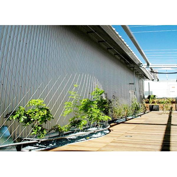 Stainless Steel Wire Rope Green Wall Mesh 304 304L 316 316L