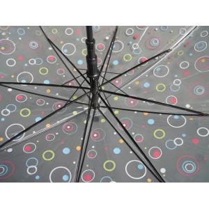 Advertising Clear Transparent Umbrella with silkscreen print on the canopy