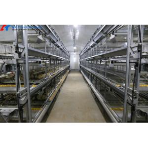 Broiler Chicken Cage Breeder Feeding System Easy Install
