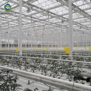 Hydroponic 9.6m Multi Span Pc Greenhouse For Agriculture