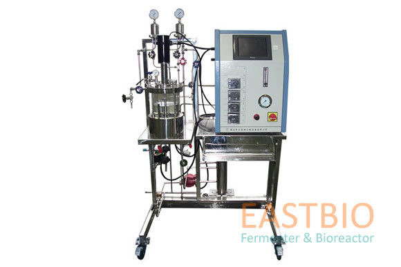 10L Glass Fermenter Two 6 Blade Rushton Impellers Sterilizable Conductivity