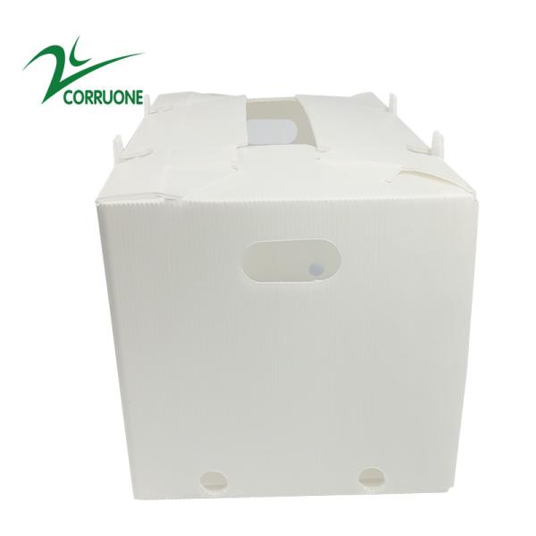 Buy 2mm-11mm Hollow Carton Coroplast Correx Collapsible Corrugated Plastic Boxes at wholesale prices