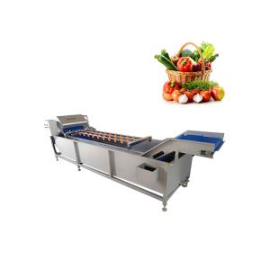 13.8KW 3T/H Fruit Vegetable Washing Machine With Oxygen Pump