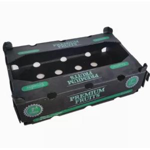 Width 2200mm Fruit Packaging Boxes Polypropylene Fruits Packing Plastic Box