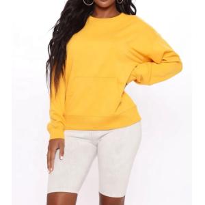 China Crew Neck Dropped Shoulders Sleeve Oversize Blank Plain Colored Sweatshirts For Women on sale