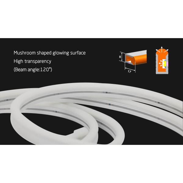 RGB RGBIC Smart LED Neon Light Waterproof Neon Strip Lights 12V 24V Waterproof