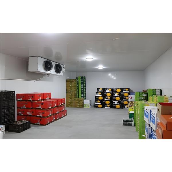 Polyurethane Insulation Cold Storage Cold Room Container Various Cooling