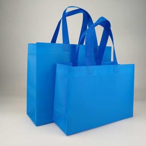 Tear Resistant 80Gsm Polypropylene Shopping Bag Eco Friendly
