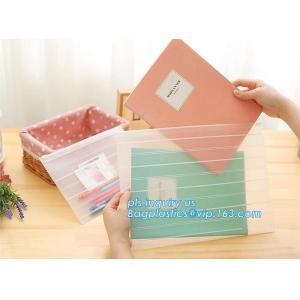 Document File Packaging Biodegradable Slider Packaging, Coex Bags, Translucent