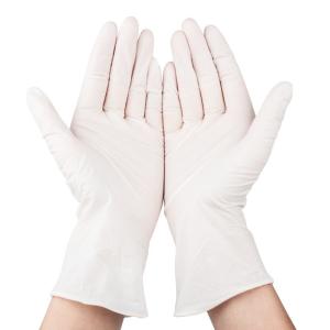 China White Powder Free Disposable Medical Latex Gloves S M L XL on sale