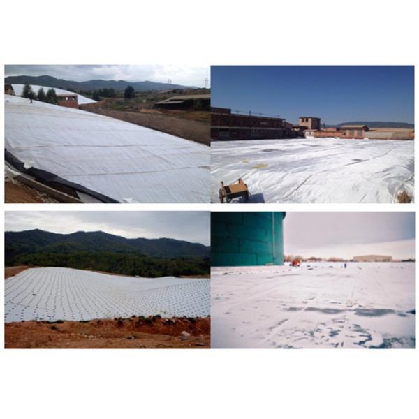 Buy White 800gsm High Strength Geotextile For Water Conservancy at wholesale prices