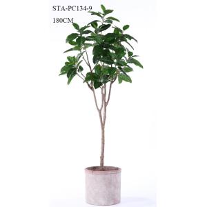 Low - Maintance Artificial Rubber Tree Evergreen Plant Modern Lifestyle