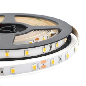 Neon Light Strips 85-265V/12V DC, 3000K-6000K Color Temperature, No UV/IR