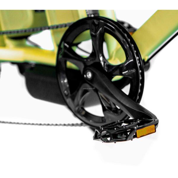 48V Disc Brake Dual Batteries Fat Snow Big Tire Electric Cargo Bicycles for Family 2