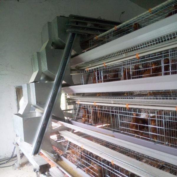 Buy 120 Birds Chicken Farm Poultry Cage With Egg Collecting System at wholesale prices