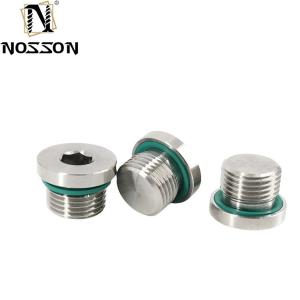 Quality 10mm Titanium Pipe Plug Stainless Steel Inox Polished Hex Socket Screws Din908 Your Go-To Product for Easy Installations for sale