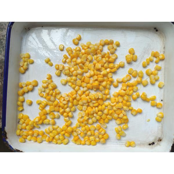 A9 A10 2850g 340g Sweet Flavor Canned Corn Kernels