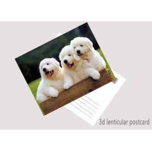 Promotion Cartoon 3D Lenticular Postcard / Flip Lenticular Image Printing