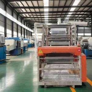 PLC Control Plastic Extrusion Machine Customized Screw and Die Design