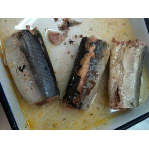 Wild Caught Canned Mackerel Healthy In Brine , Mackerel Fillets Canned For Salad