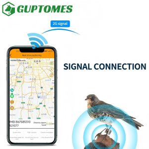 GPS+LBS Mini Bird Tracker, 2G Network, Real-time Positioning, Daily Waterproof,
