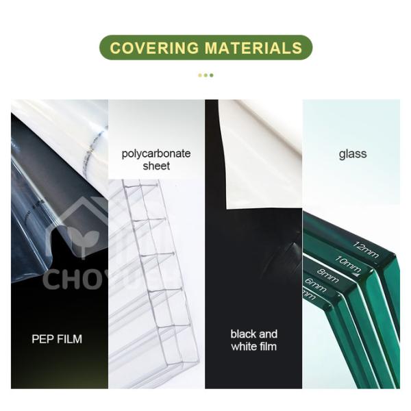 Wind Resistance Multi Span Plastic Film Tunnel Greenhouse With Ventilation System