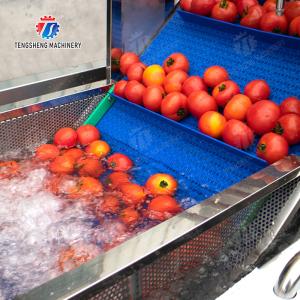 Leaves Leafy vegetables Cabbage varieties Herbs Fruiting vegetables Vegetables