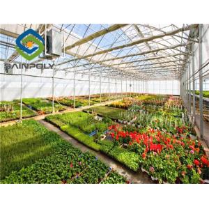 Hot Galvanized Steel 8m Polyethylene Film Greenhouse