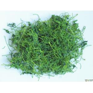 Gypenoside≥ 20%, 80%,95%,98% Gynostemma Pentaphyllum Extract --gynostemma