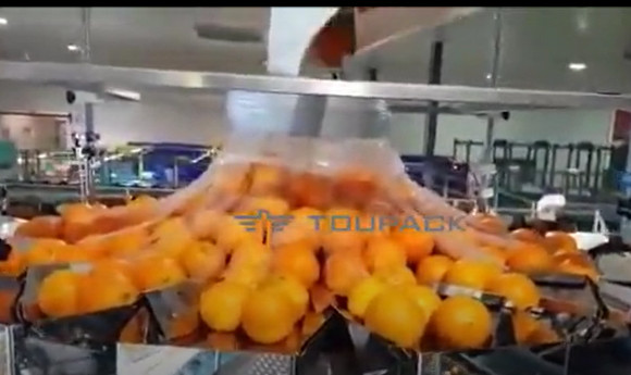 Buy Automatic Orange Fruit And Vegetable Packaging Machine With Net at wholesale prices