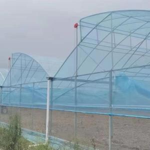 Large Sawtooth Greenhouse Shine Tech Poly Tunnel Tropical Greenhouse With