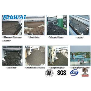 Quality White Powder Cationic Polyacrylamide for Sludge Dewatering for sale