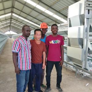 Chicken House Laying Hens Cage，Battery Chickens Layer Cages Automatic